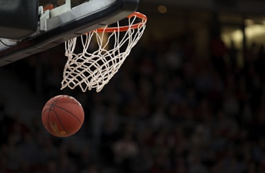 美国NBA篮球职业联赛高清直播入口